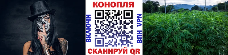 Канабис VHQ  Горбатов 